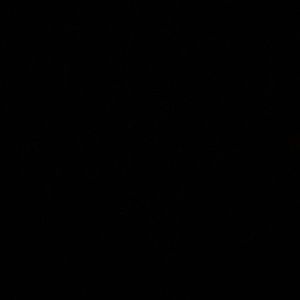 Meet your Posher, Reem